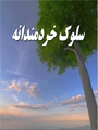سلوک خردمندانه